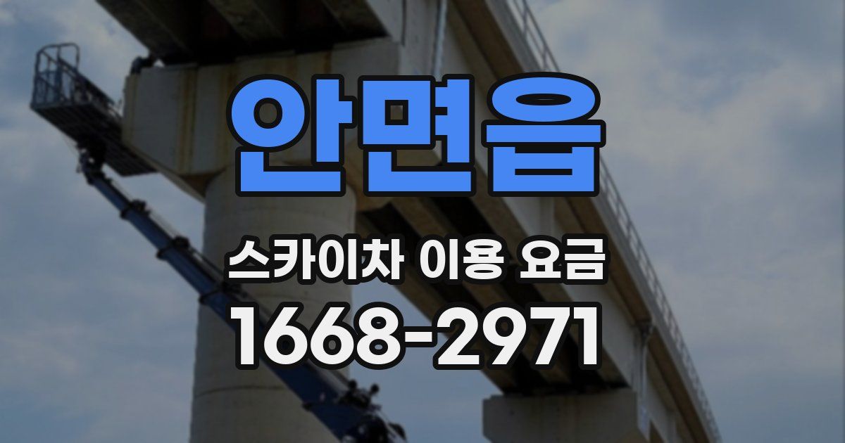 안면읍 스카이차 이용 요금