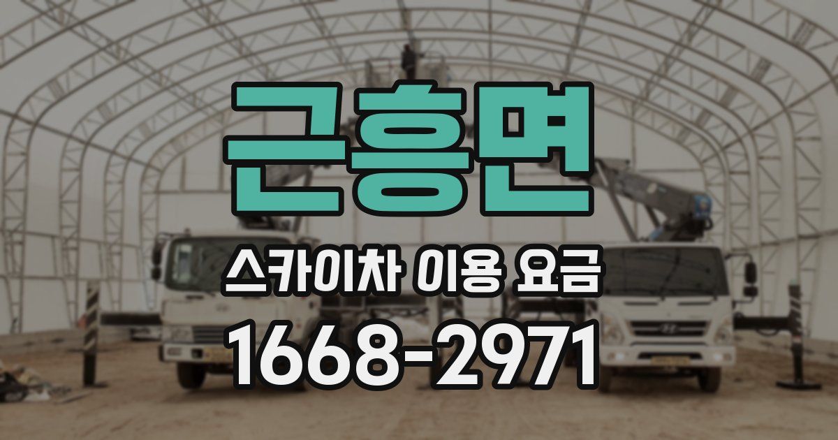근흥면 스카이차 이용 요금