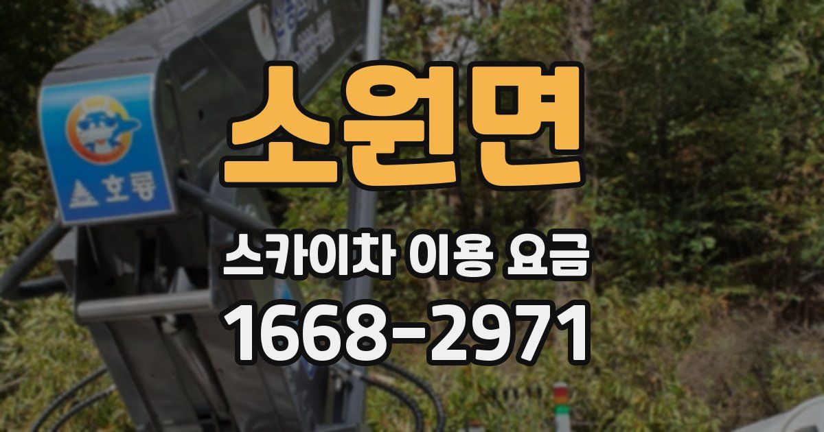 소원면 스카이차 이용 요금