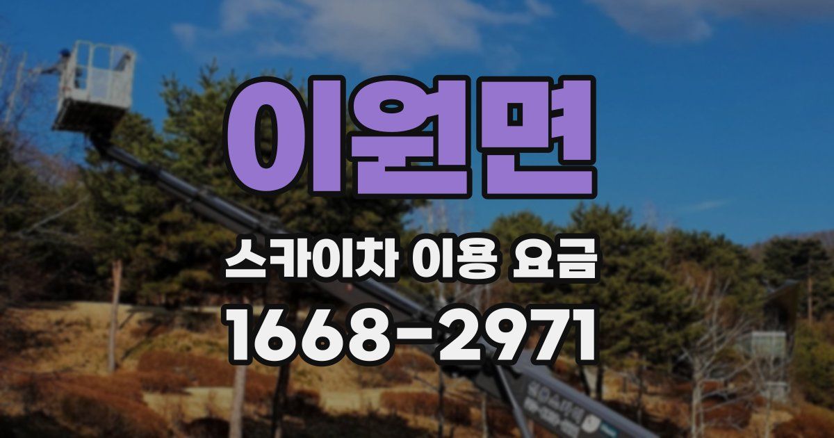 이원면 스카이차 이용 요금