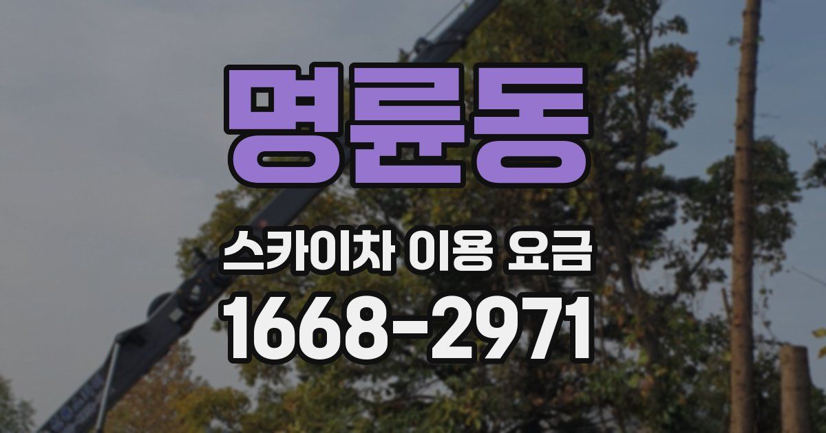 명륜동 스카이차 이용 요금