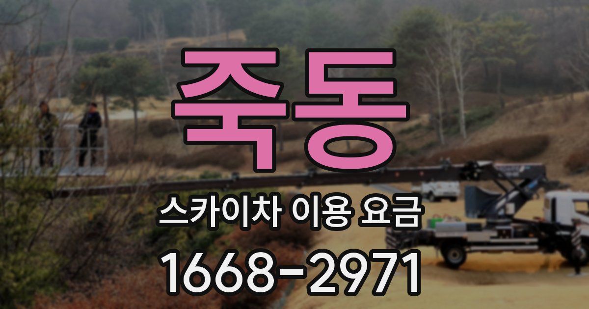 죽동 스카이차 이용 요금