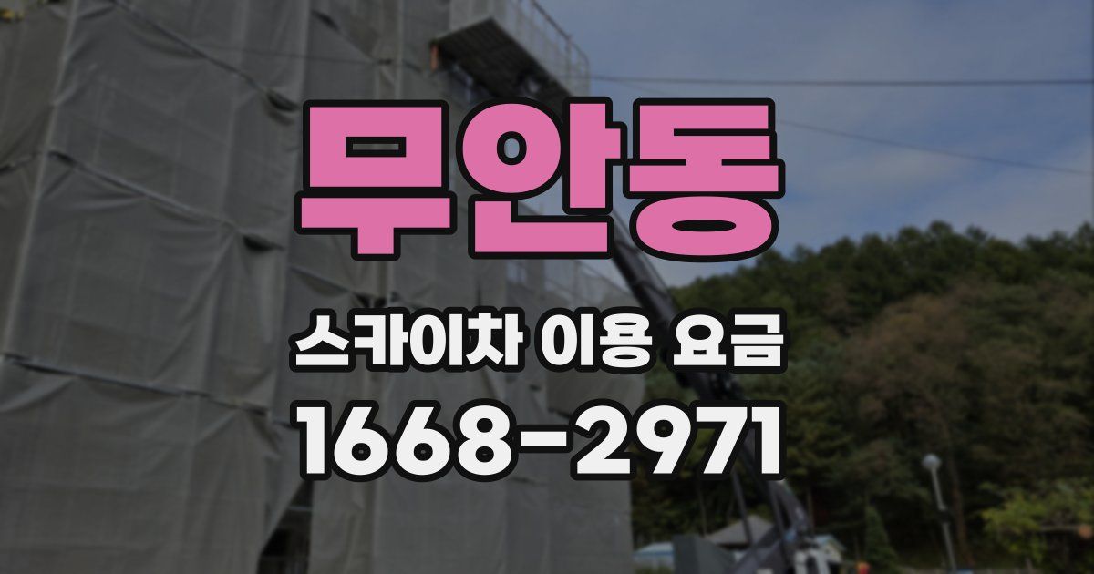 무안동 스카이차 이용 요금