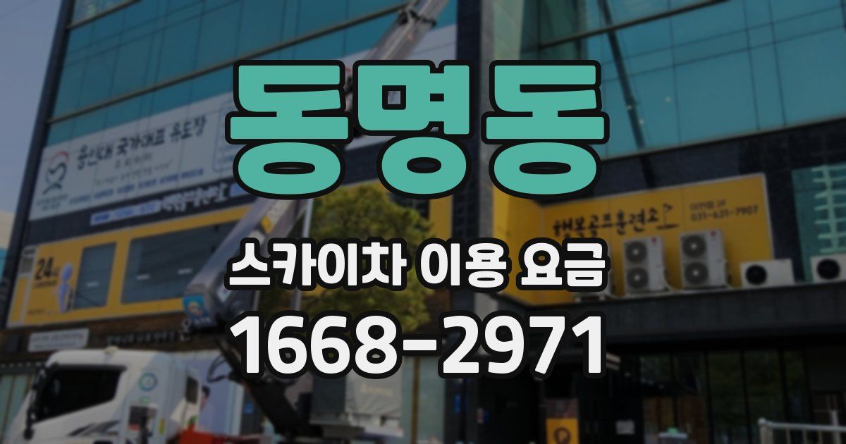 동명동 스카이차 이용 요금