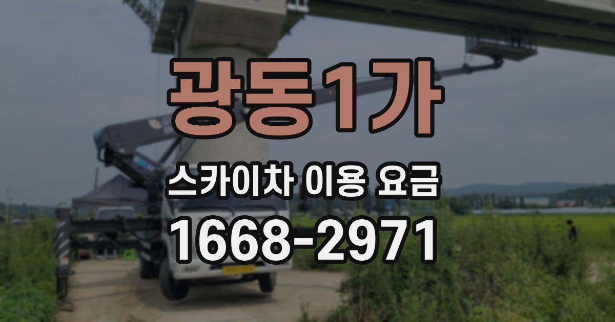 광동1가 스카이차 이용 요금