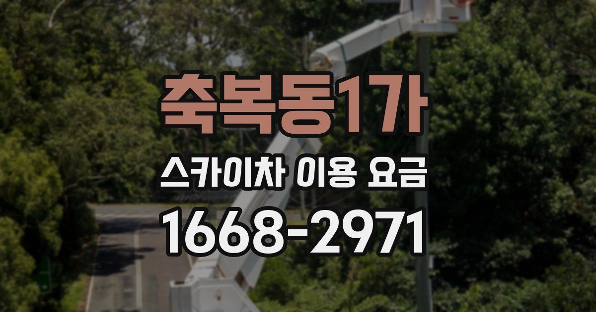 축복동1가 스카이차 이용 요금