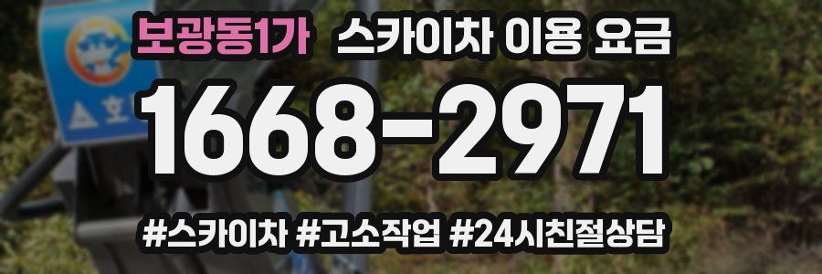 보광동1가 스카이차 이용 요금