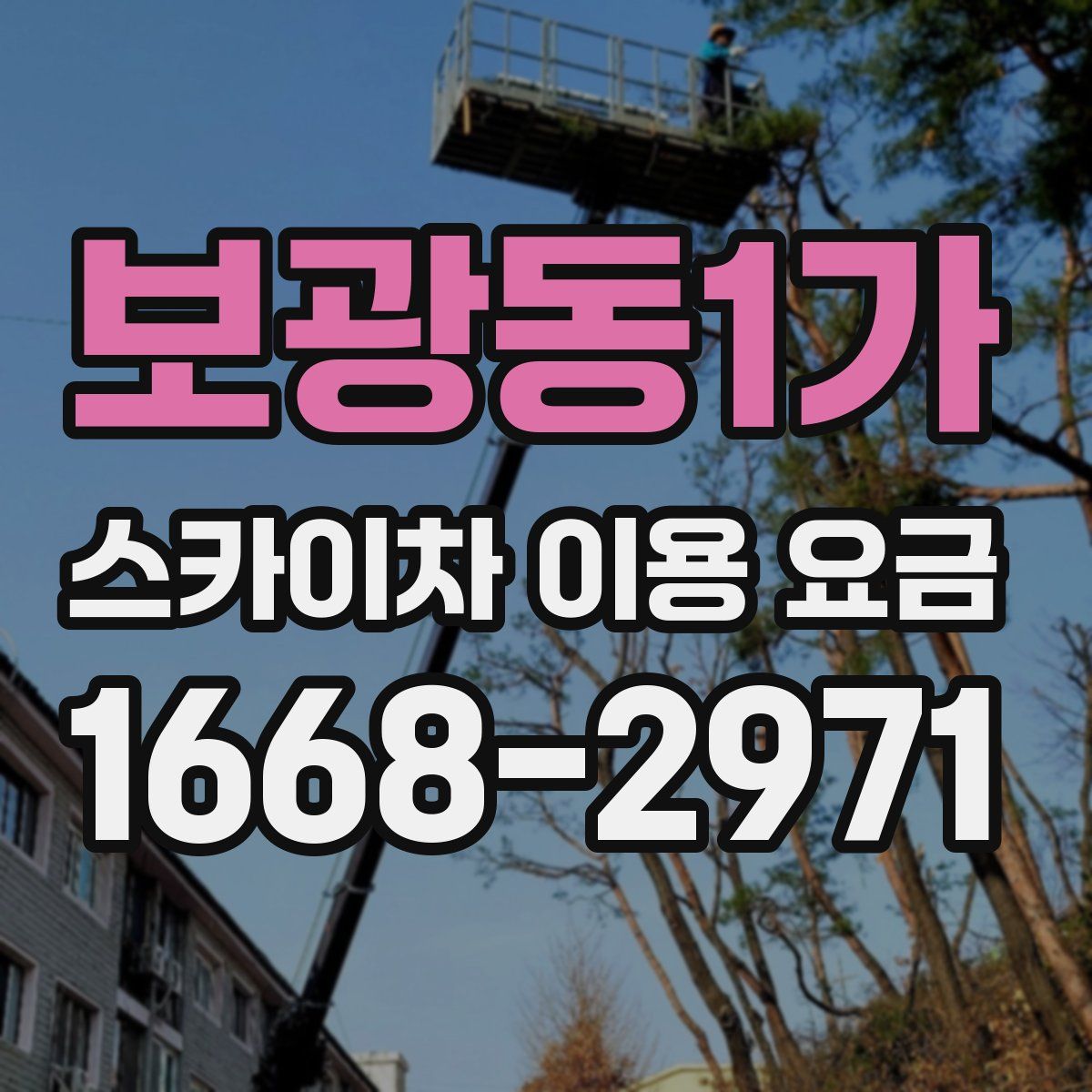 보광동1가 스카이차 이용 요금