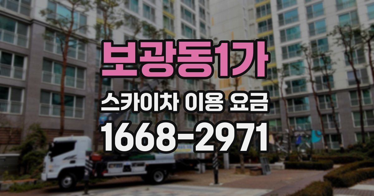 보광동1가 스카이차 이용 요금