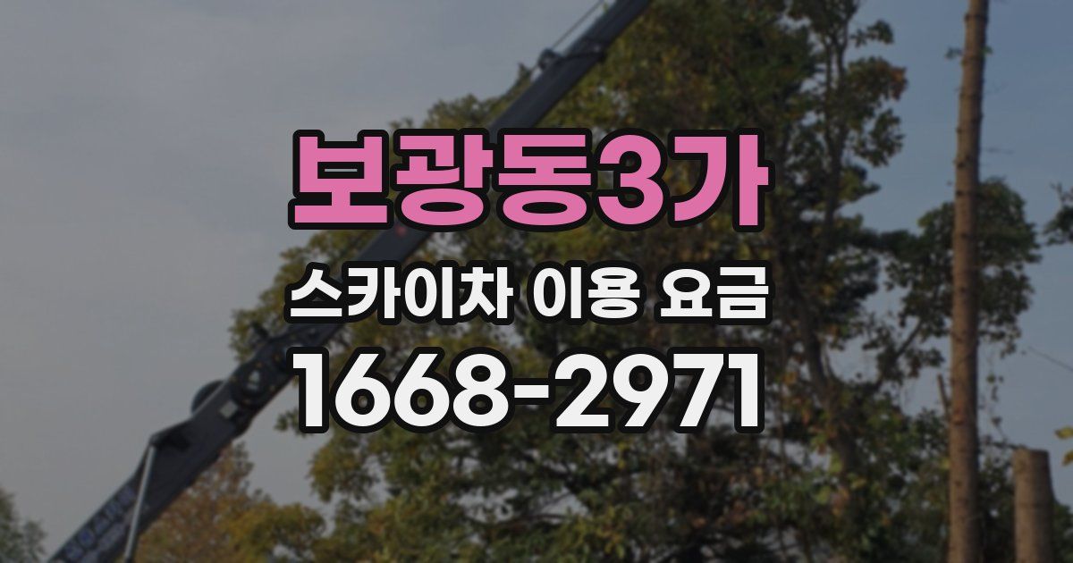 보광동3가 스카이차 이용 요금