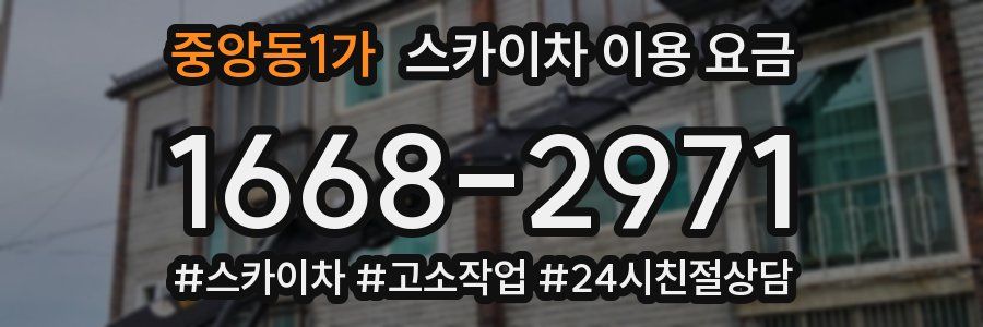 중앙동1가 스카이차 이용 요금