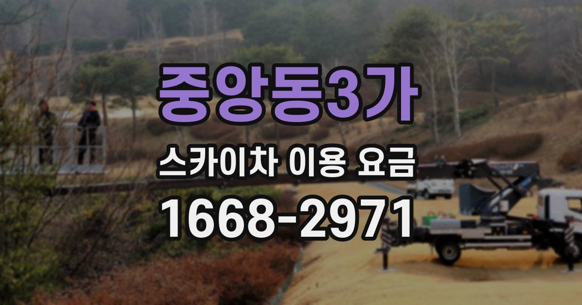 중앙동3가 스카이차 이용 요금