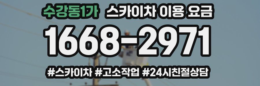 수강동1가 스카이차 이용 요금