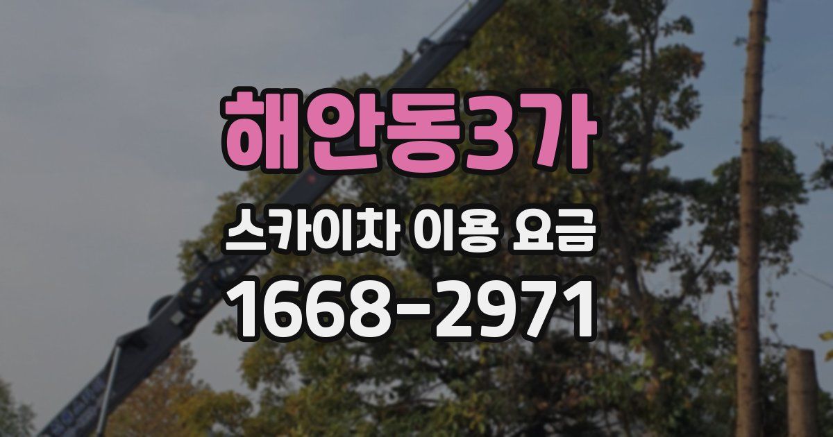 해안동3가 스카이차 이용 요금