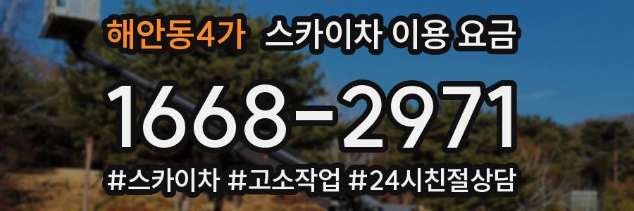 해안동4가 스카이차 이용 요금