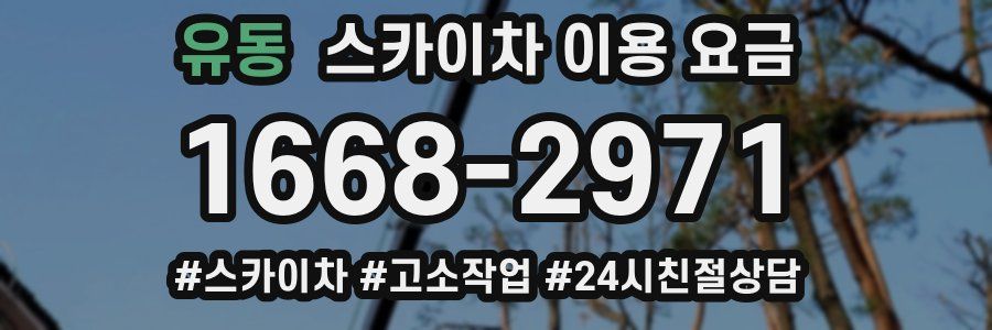 유동 스카이차 이용 요금