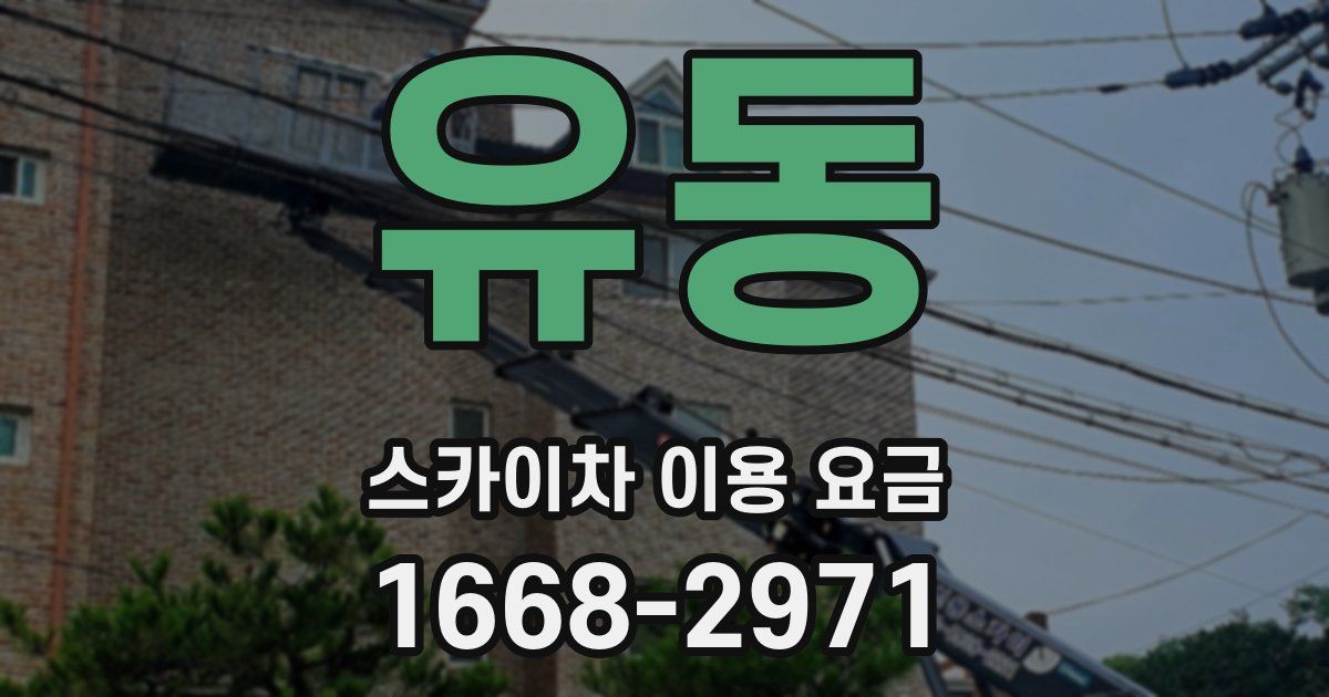 유동 스카이차 이용 요금