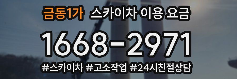 금동1가 스카이차 이용 요금