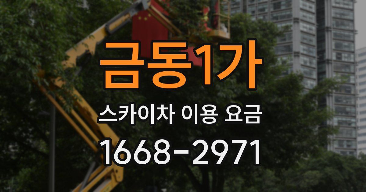 금동1가 스카이차 이용 요금