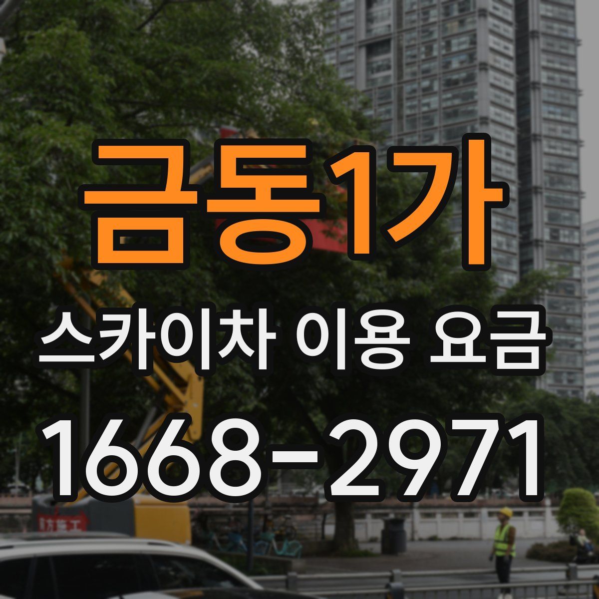 금동1가 스카이차 이용 요금