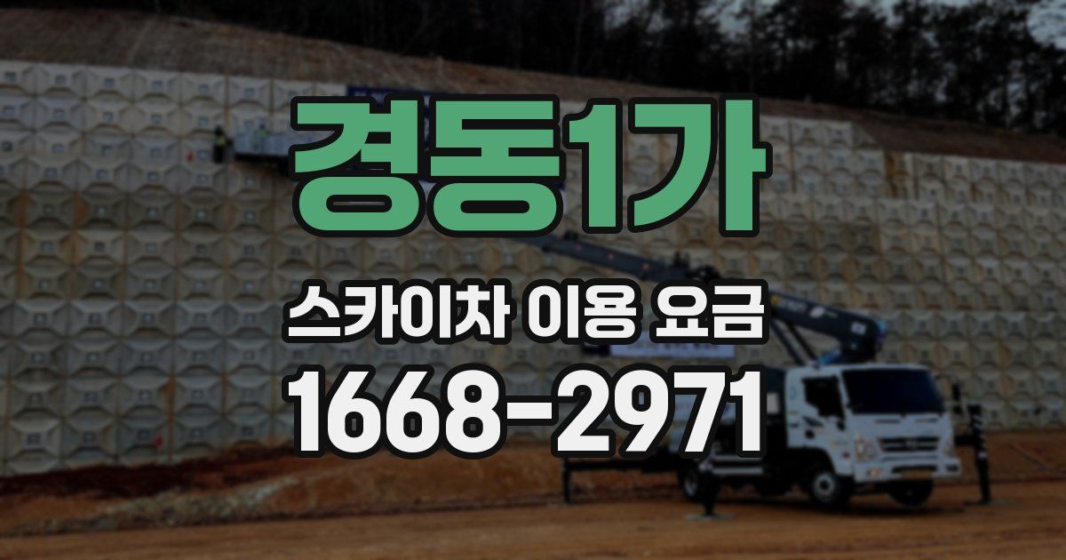 경동1가 스카이차 이용 요금