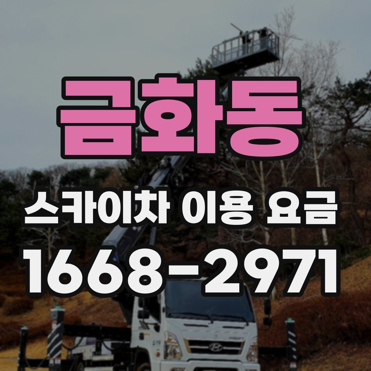 금화동 스카이차 이용 요금