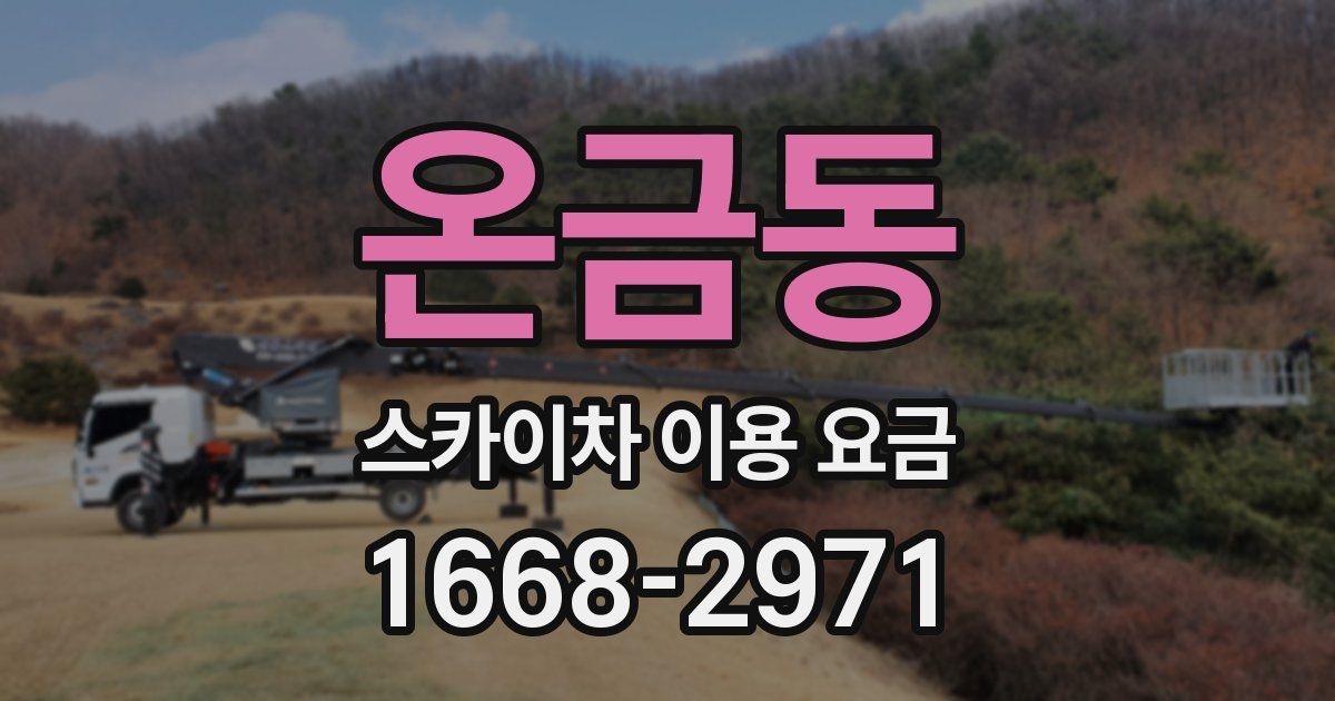 온금동 스카이차 이용 요금