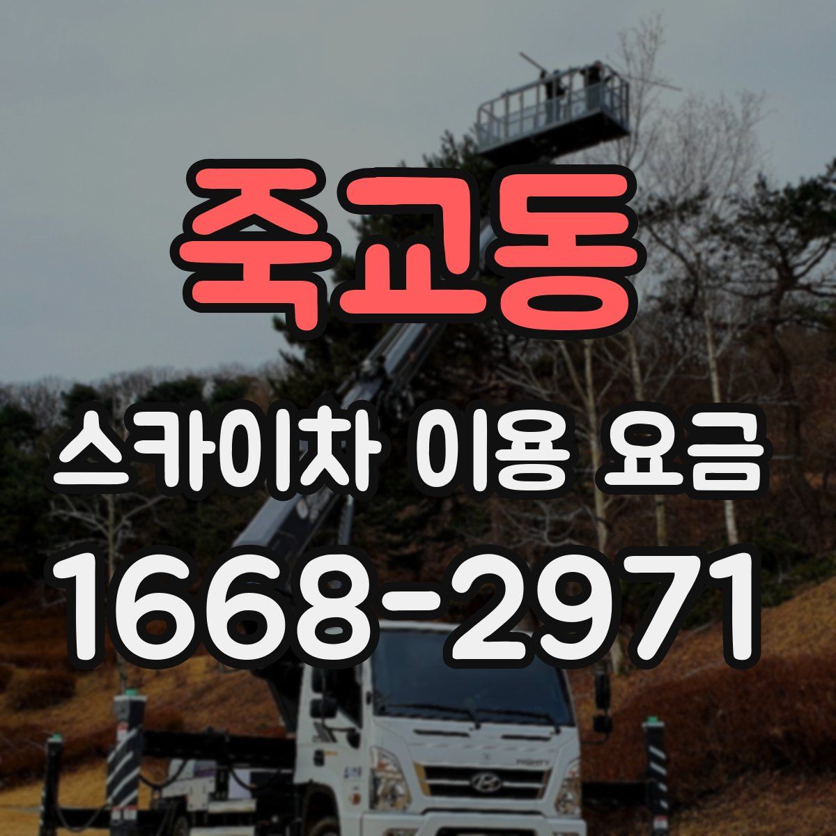 죽교동 스카이차 이용 요금