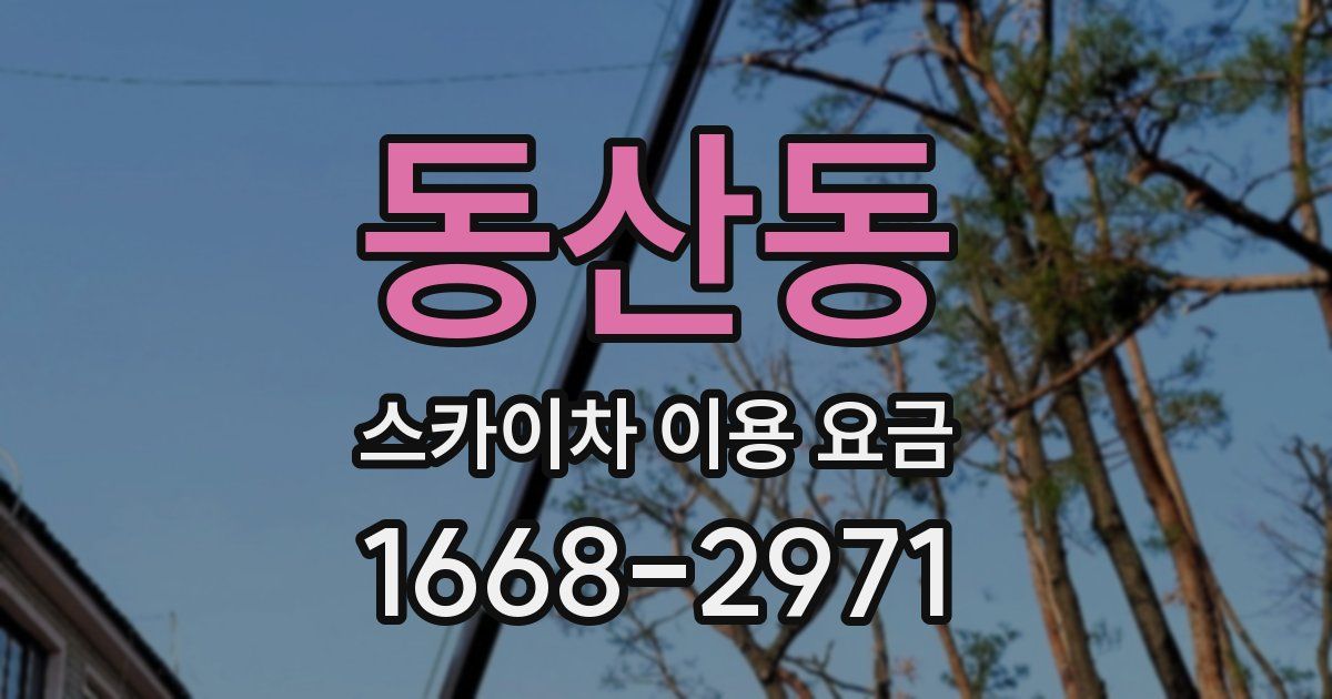 동산동 스카이차 이용 요금
