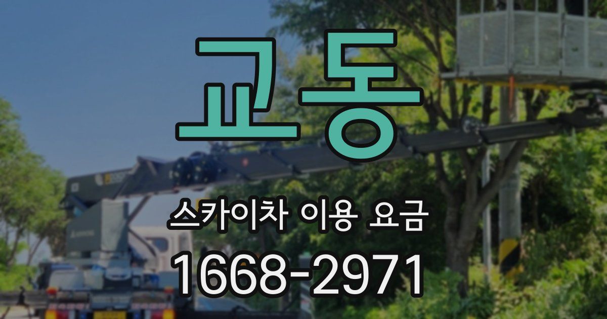 교동 스카이차 이용 요금