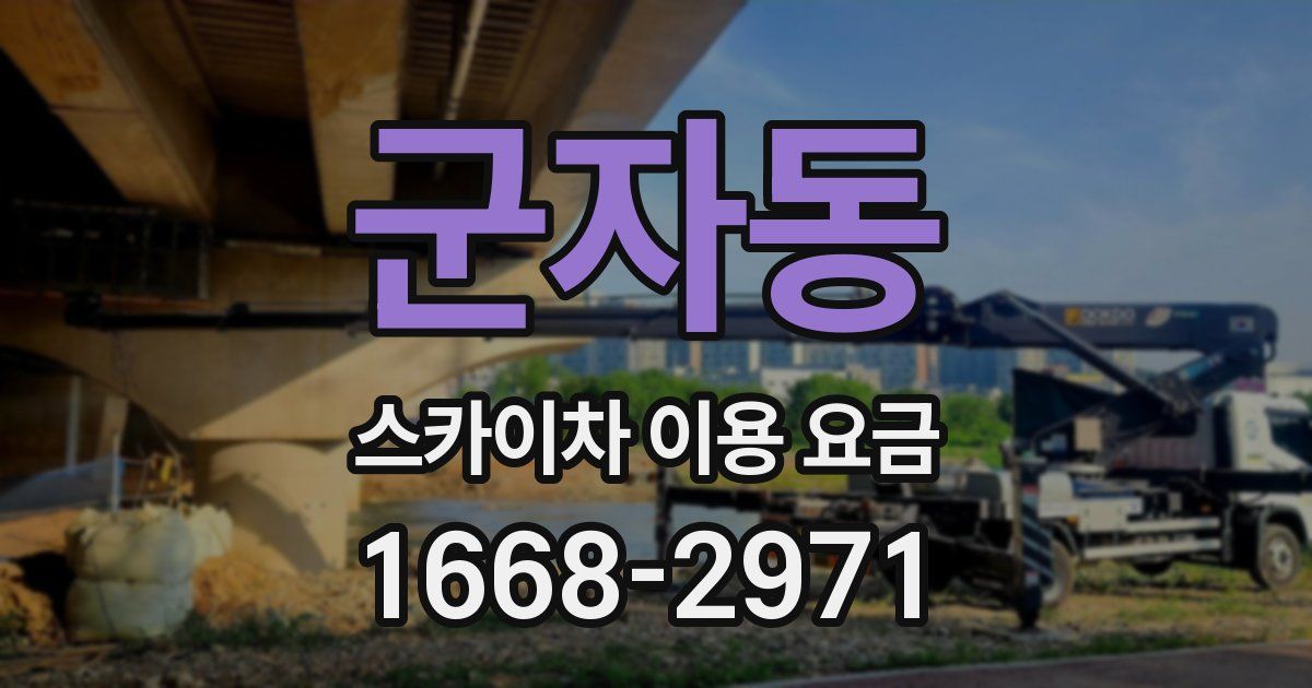 군자동 스카이차 이용 요금