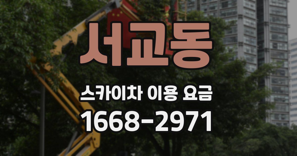 서교동 스카이차 이용 요금
