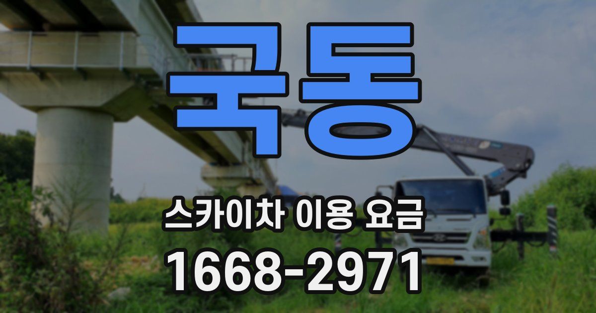 국동 스카이차 이용 요금
