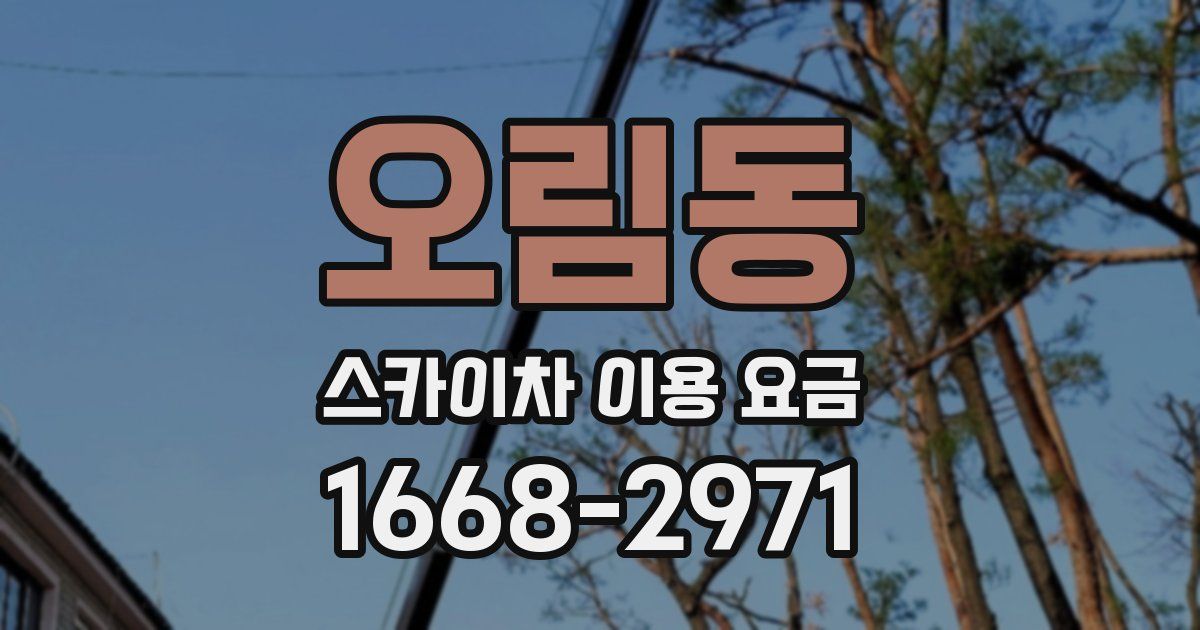 오림동 스카이차 이용 요금