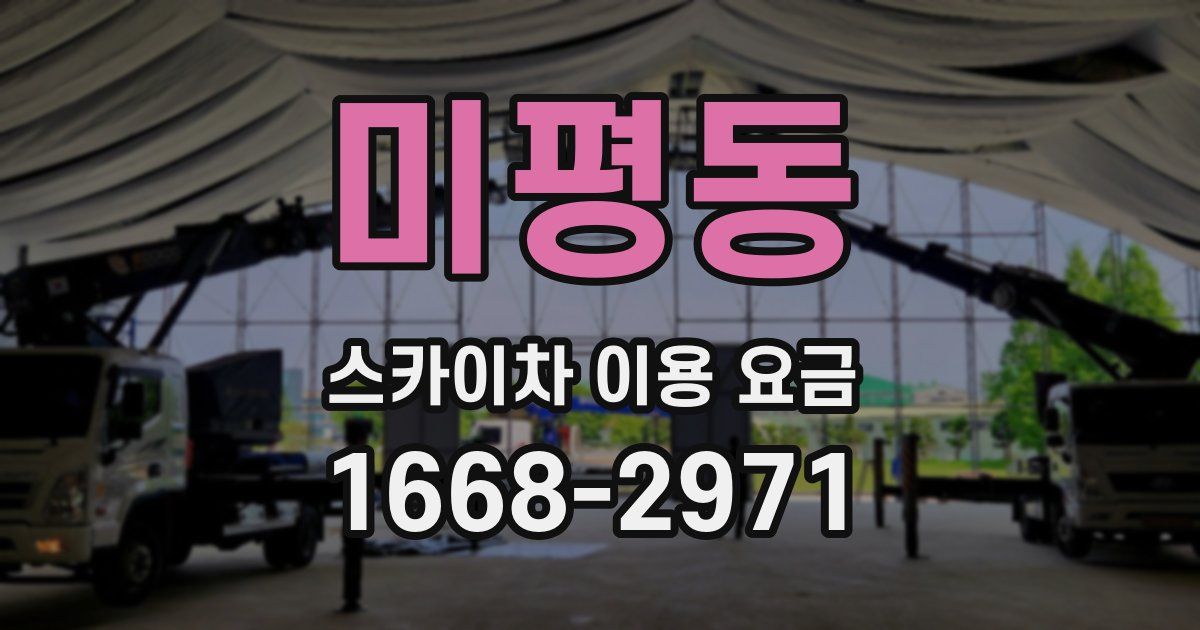 미평동 스카이차 이용 요금