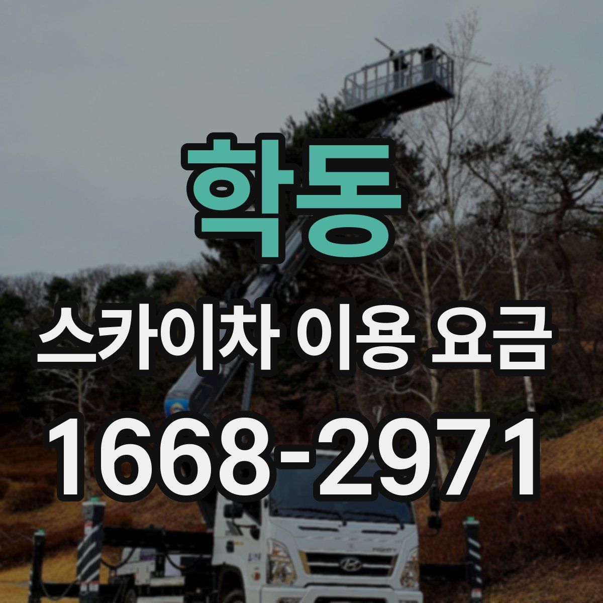 학동 스카이차 이용 요금