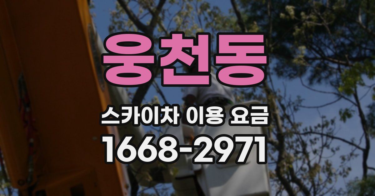 웅천동 스카이차 이용 요금