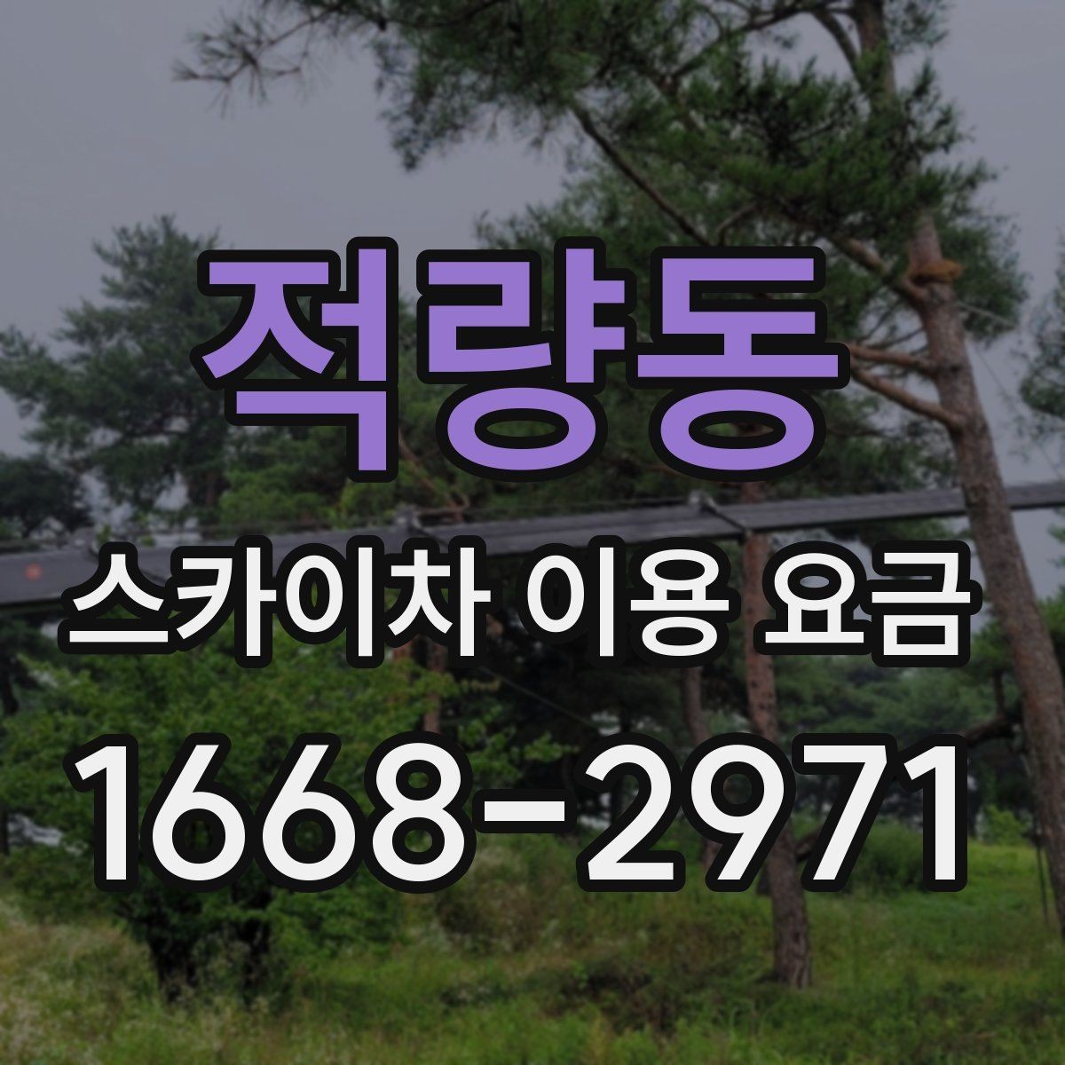 적량동 스카이차 이용 요금 비교 시 기준이 되는 요소