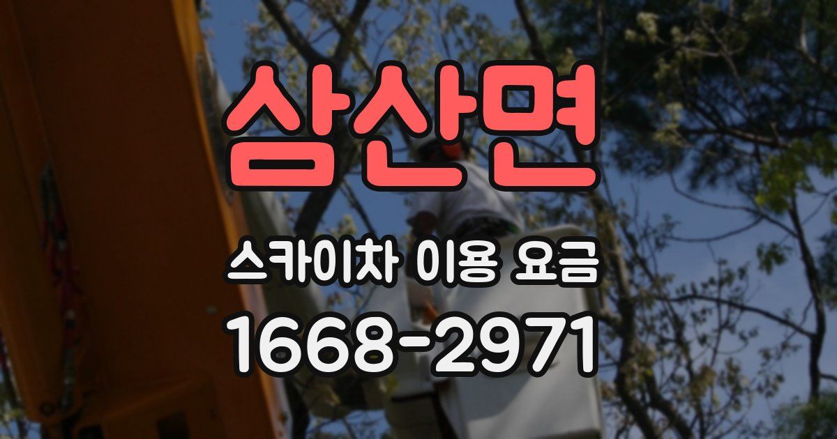삼산면 스카이차 이용 요금