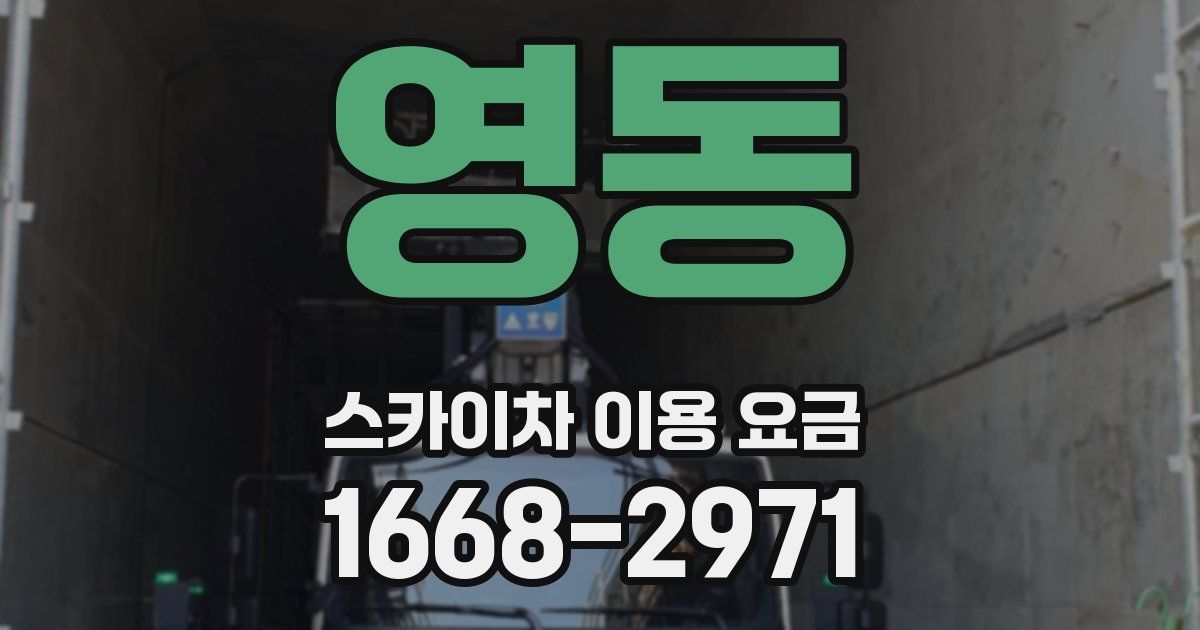 영동 스카이차 이용 요금