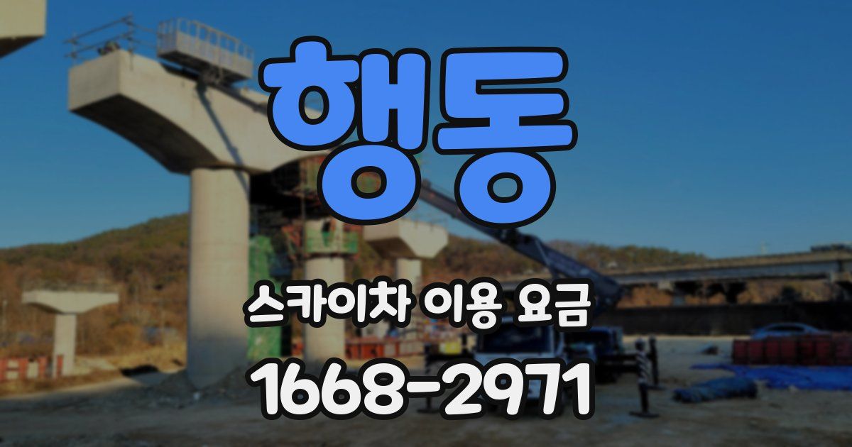 행동 스카이차 이용 요금