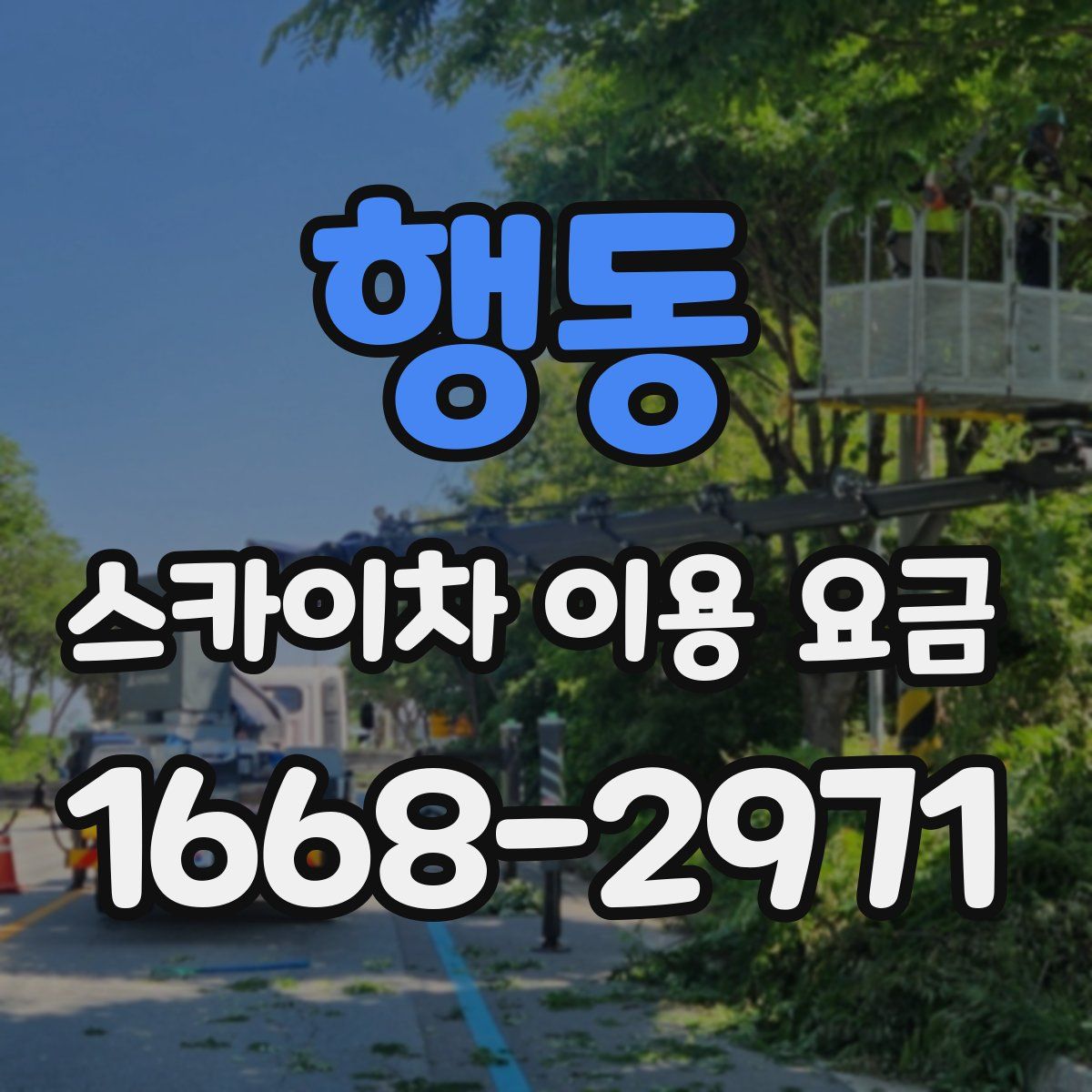행동 스카이차 이용 요금