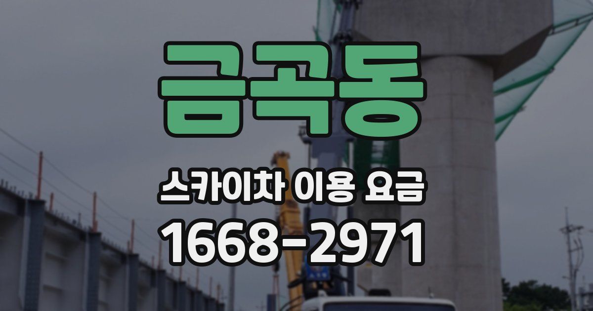 금곡동 스카이차 이용 요금