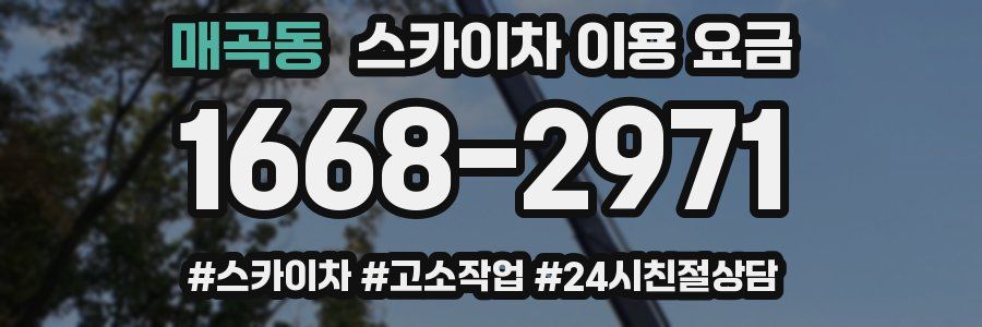 매곡동 스카이차 이용 요금