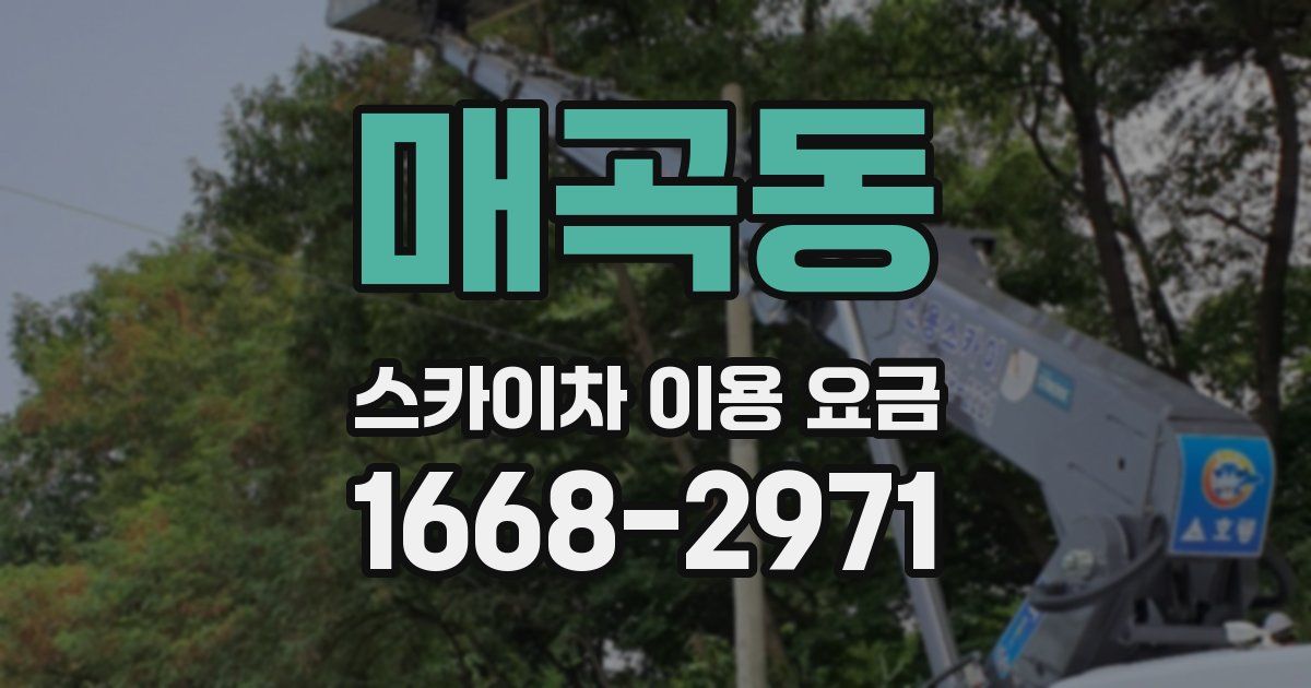 매곡동 스카이차 이용 요금