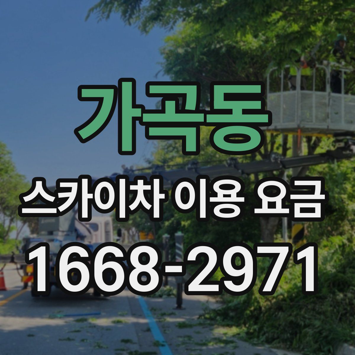 가곡동 스카이차 이용 요금