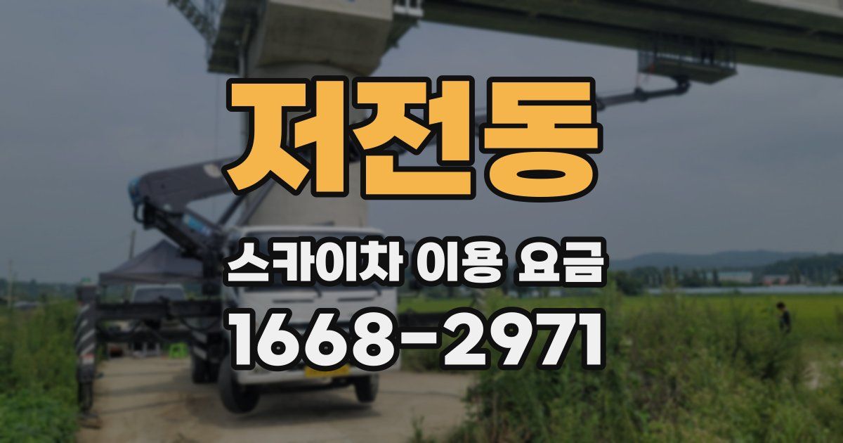 저전동 스카이차 이용 요금