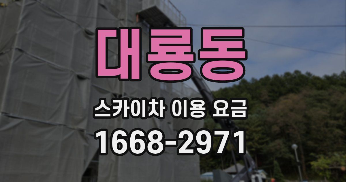 대룡동 스카이차 이용 요금