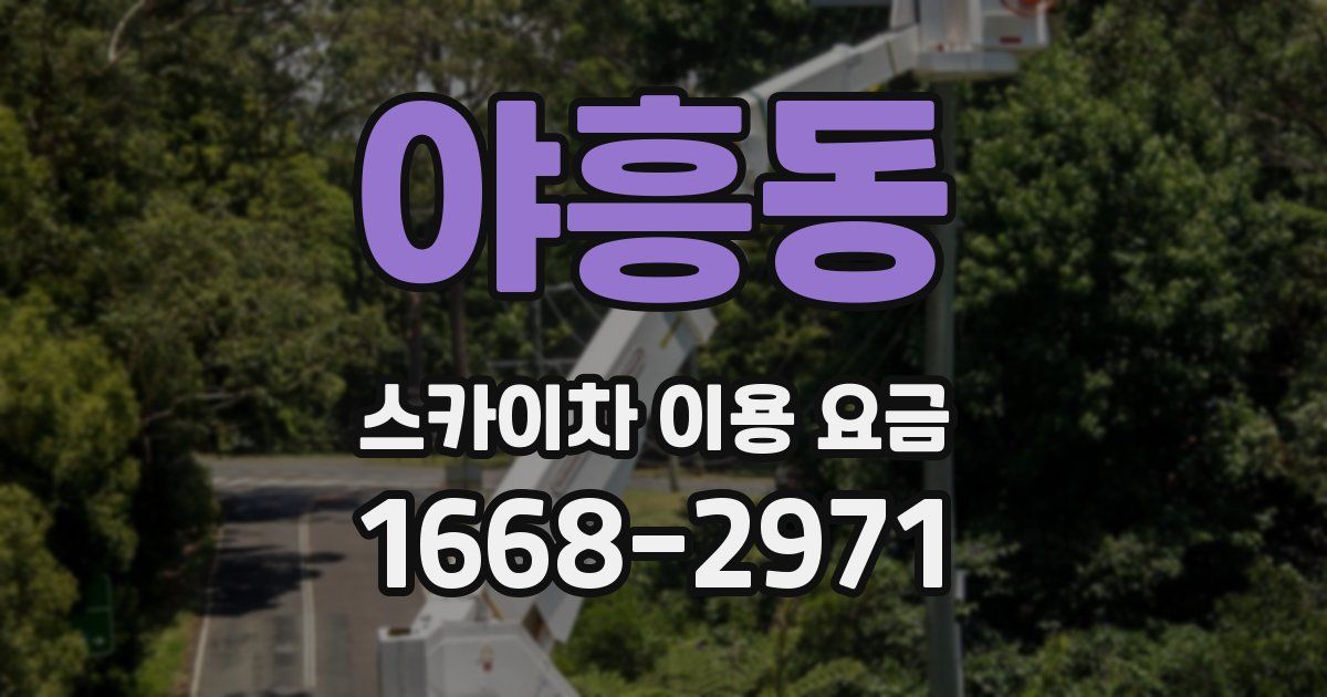 야흥동 스카이차 이용 요금