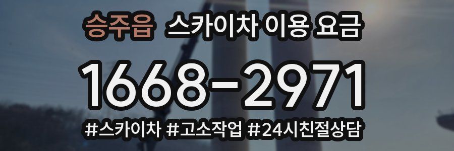 승주읍 스카이차 이용 요금